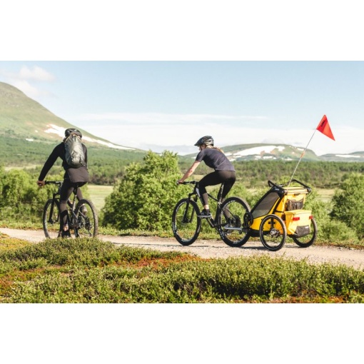 Bērnu rati Thule Chariot Sport1 SpeYellow